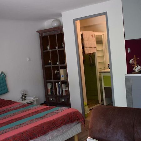 Petit Nid Douillet Apartman Cambo-les-Bains Kültér fotó